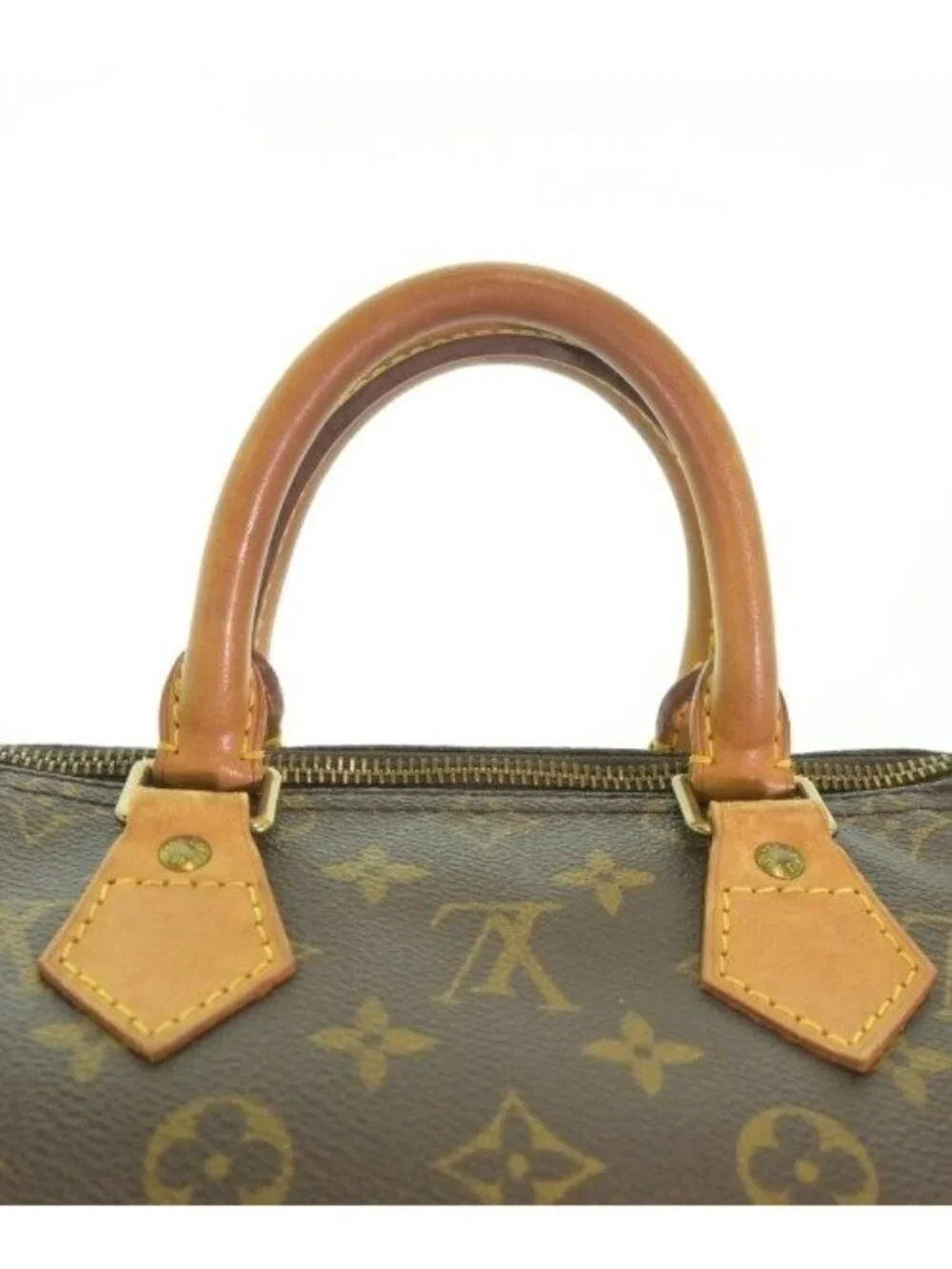 Louis Vuitton Handbag Brown